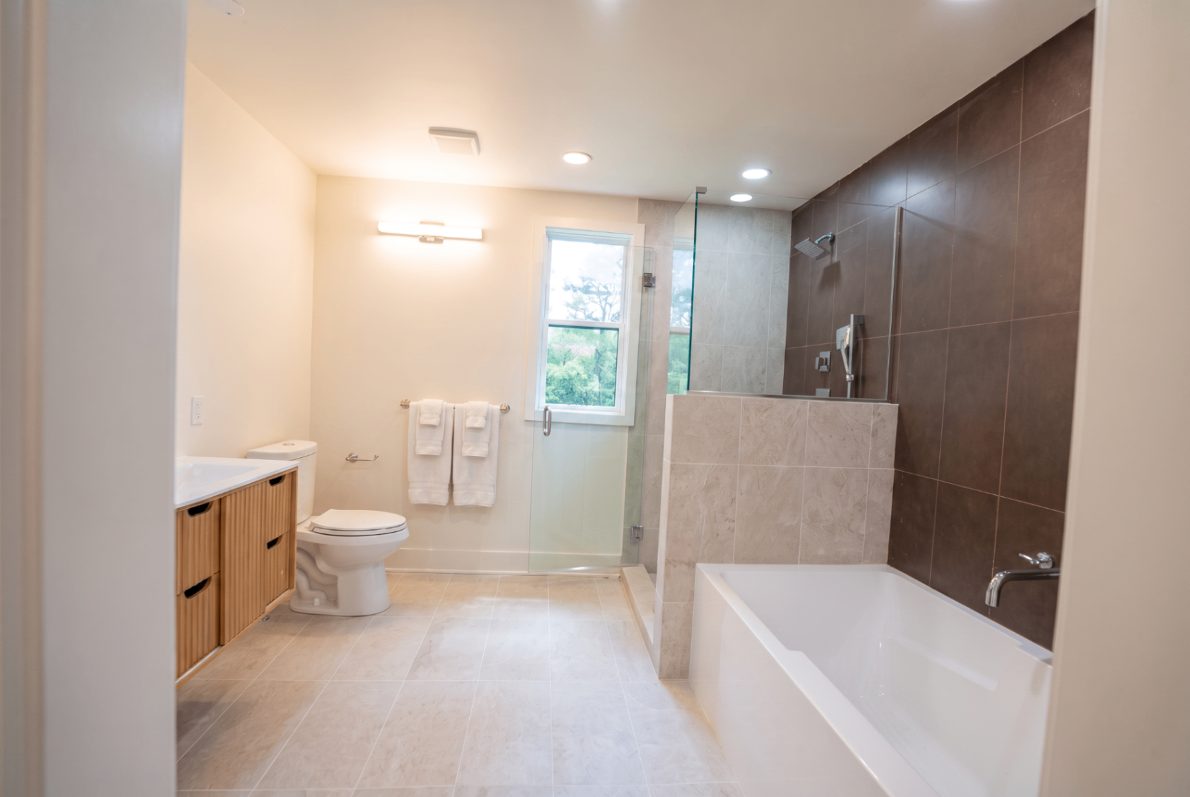 Primary bath vanity, tub and shower composition